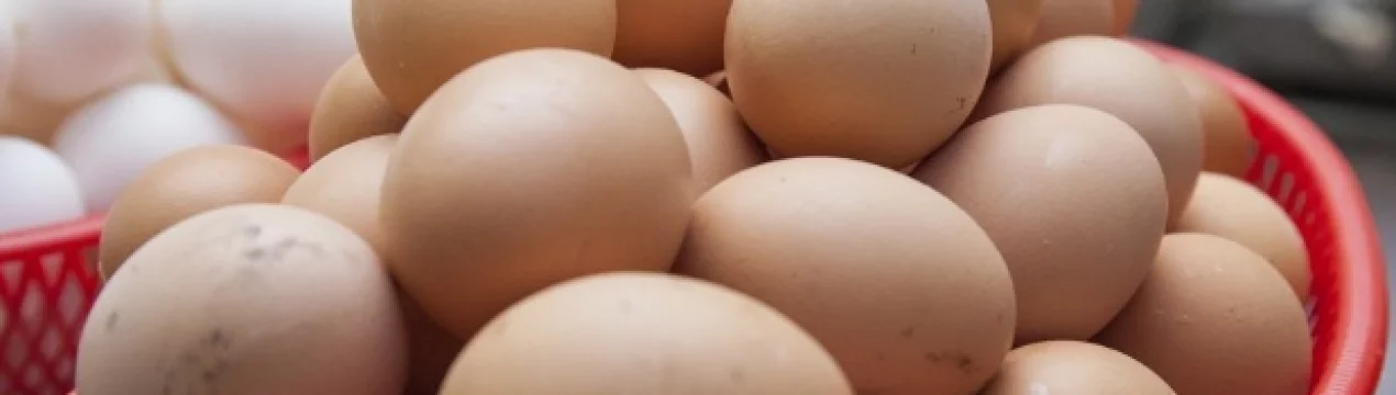Сколько граммов весит куриное яйцо ?