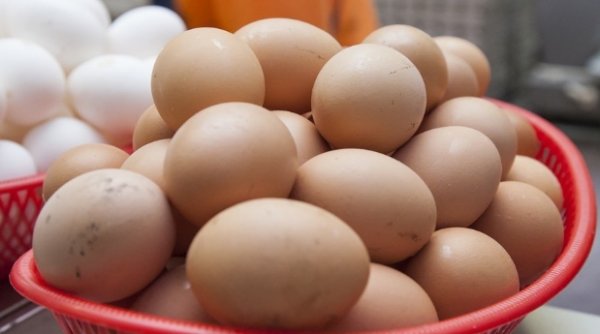 Вес куриного яйца без скорлупы. Средний вес яиц куриных