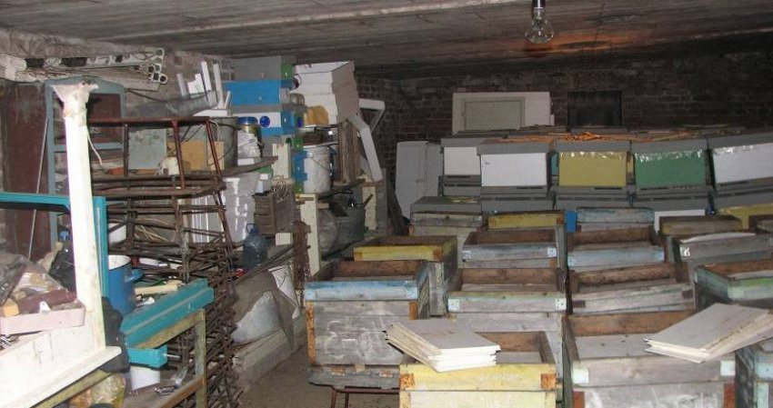 Зимівля бджіл у сараї Зимівля бджіл у сараї
