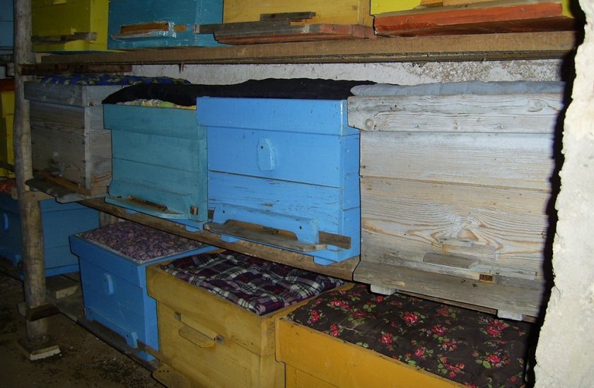 Зимовка пчёл в сарае