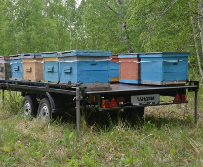 Причепи для перевезення бджіл: для чого потрібен і як ним користуватися