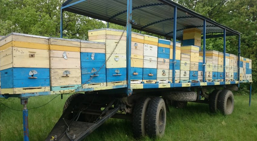 Причіп для перевезення бджіл Причіп для перевезення бджіл