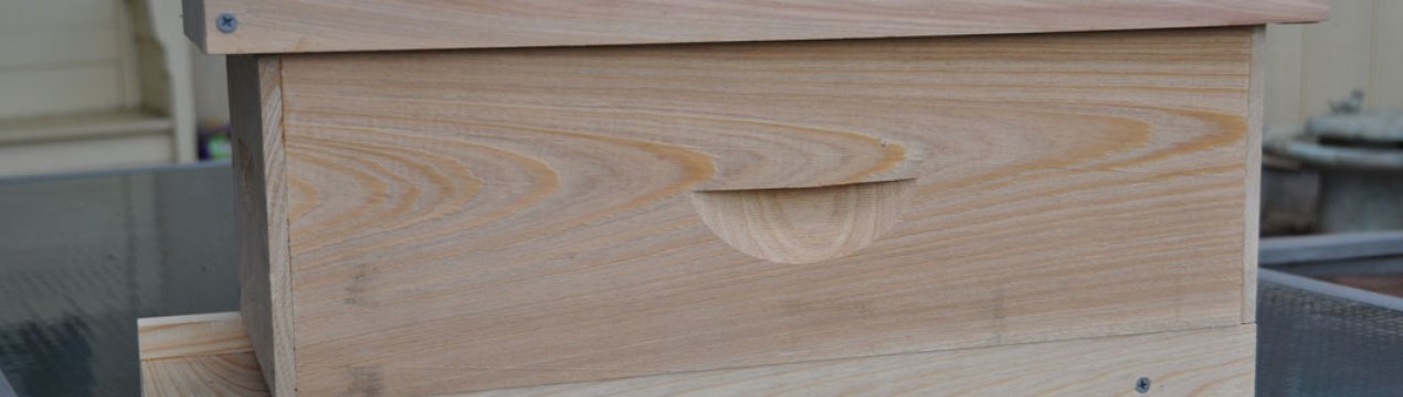 Для чого бджолярам необхідний нуклеус, особливості застосування