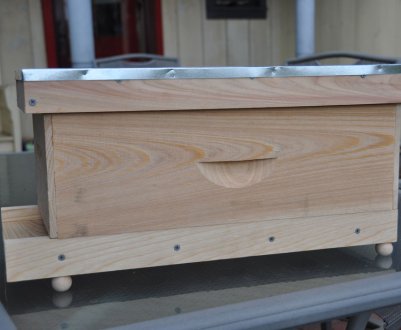 Для чого бджолярам необхідний нуклеус, особливості застосування