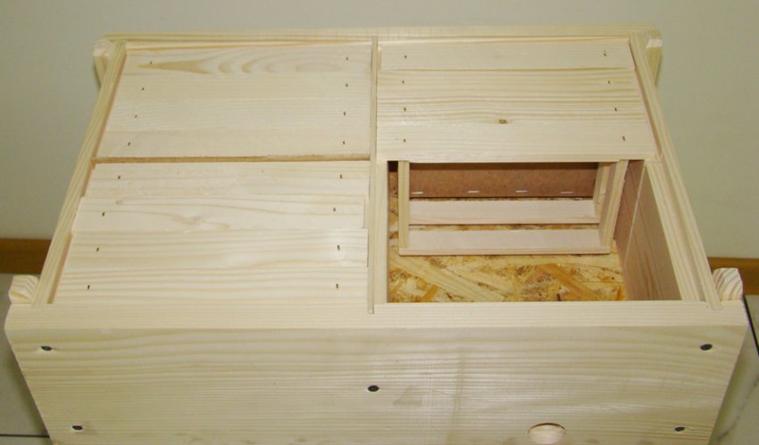 Нуклеус Нуклеус