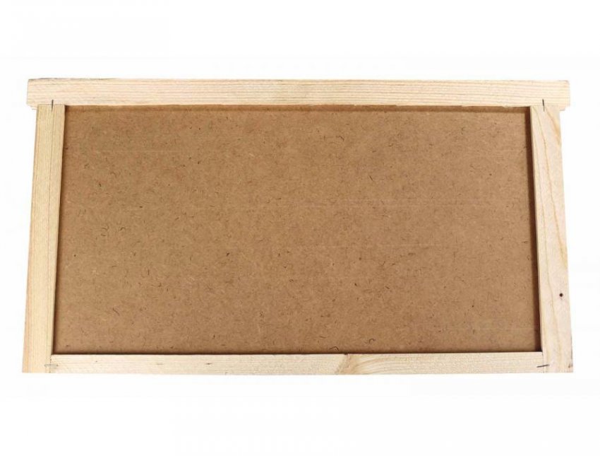 Діафрагма Діафрагма