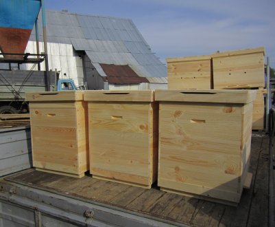 Вулик Дадан: особливості, виготовлення своїми руками