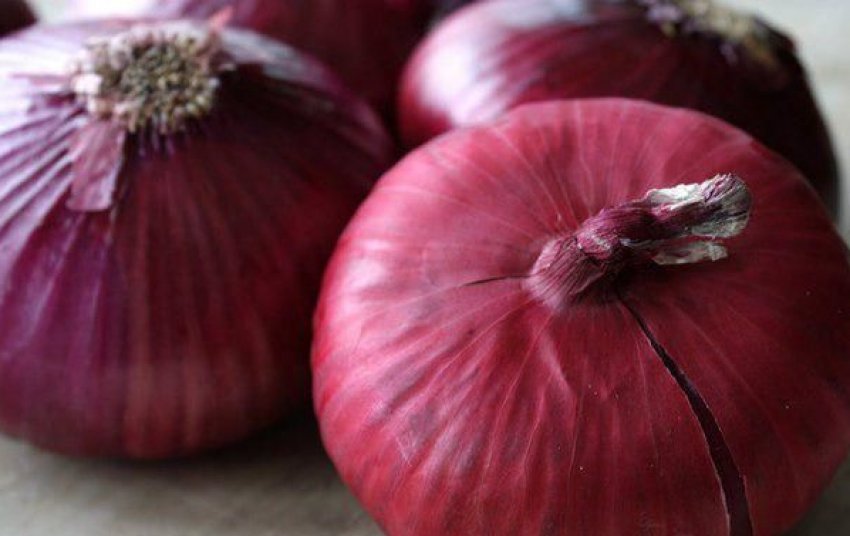 Даниловський 301 Даниловський 301