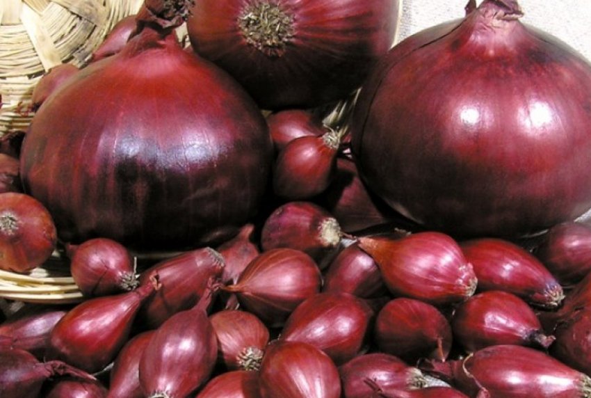 Ред Барон Ред Барон