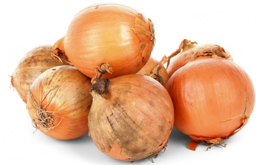 Геркулес Геркулес