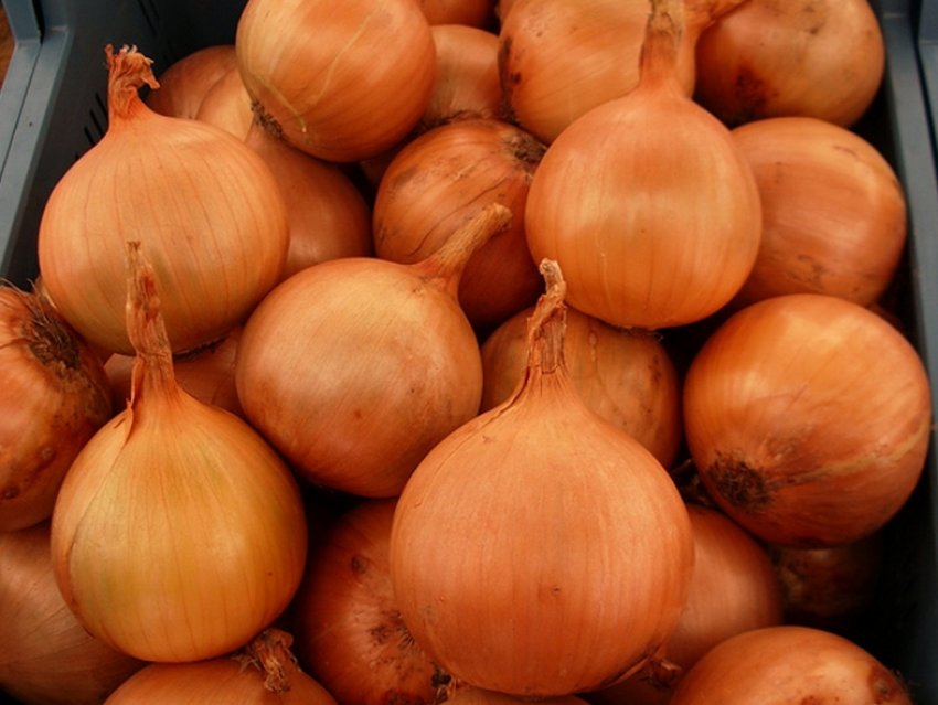 Бонус Бонус