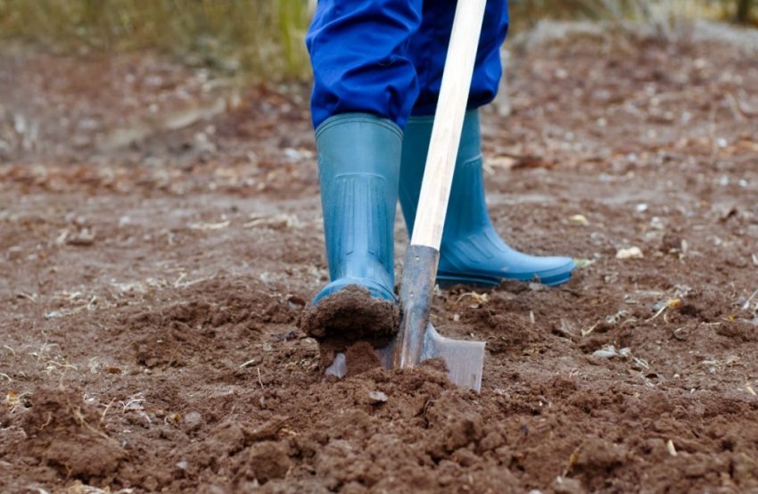 Підготовка грунту Підготовка грунту