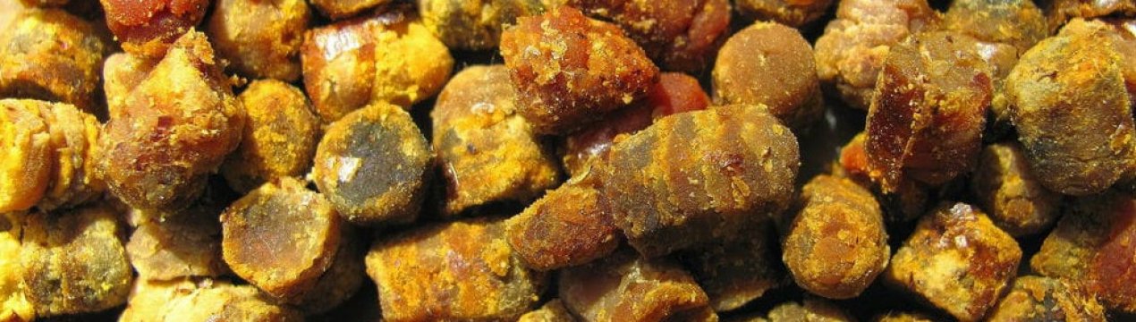 Перга — це: опис і особливості