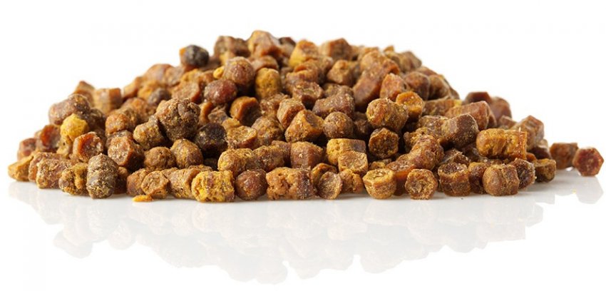 Бджолина перга