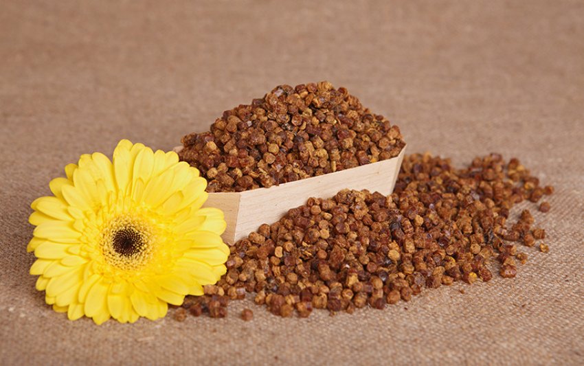 Бджолина перга