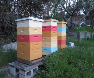 Як зробити своїми руками вулик Рута?