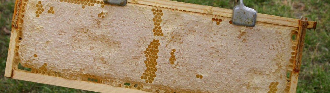 Рамки для бджолиних вуликів: вибір розмірів, виготовлення своїми руками