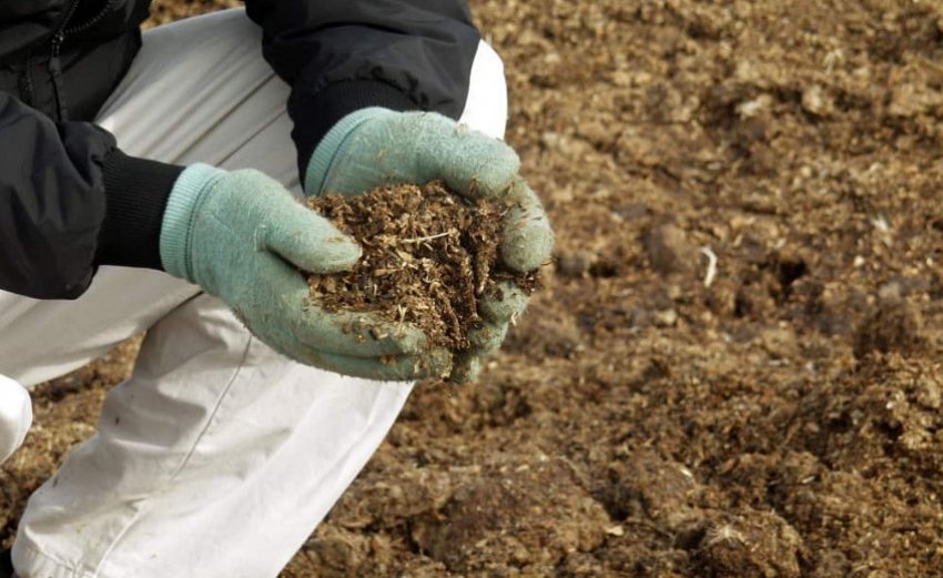 Добриво Добриво