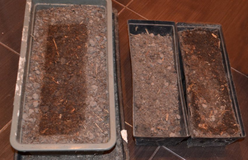 Ящики Ящики