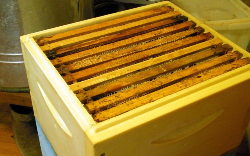 10 рамковий вулик