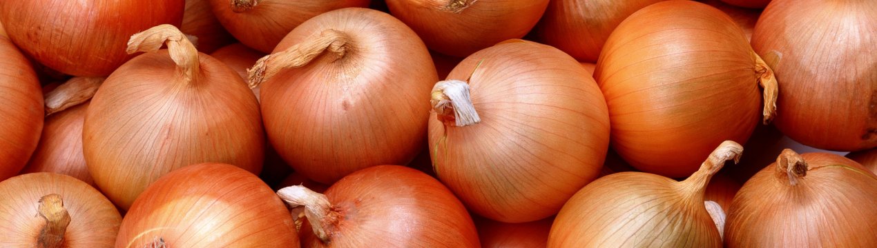 Неякісний цибулю на російських прилавках стане ще дорожче