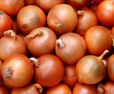 Неякісний цибулю на російських прилавках стане ще дорожче