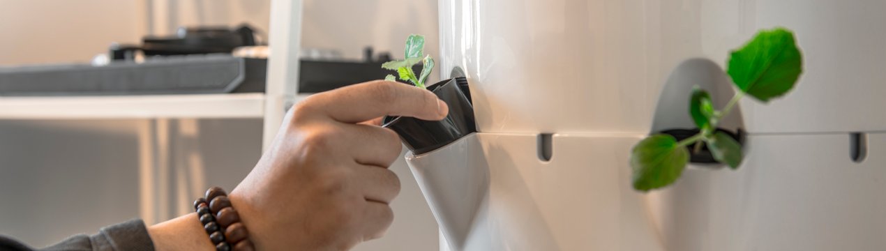 Японці допоможуть москвичам влаштовувати масштабні ферми у багатоповерхівках