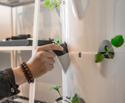 Японці допоможуть москвичам влаштовувати масштабні ферми у багатоповерхівках