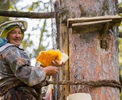  Особливості бортьового бджільництва