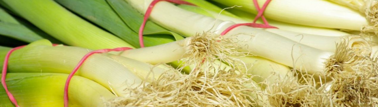 Способи зберігання цибулі-порей в домашніх умовах