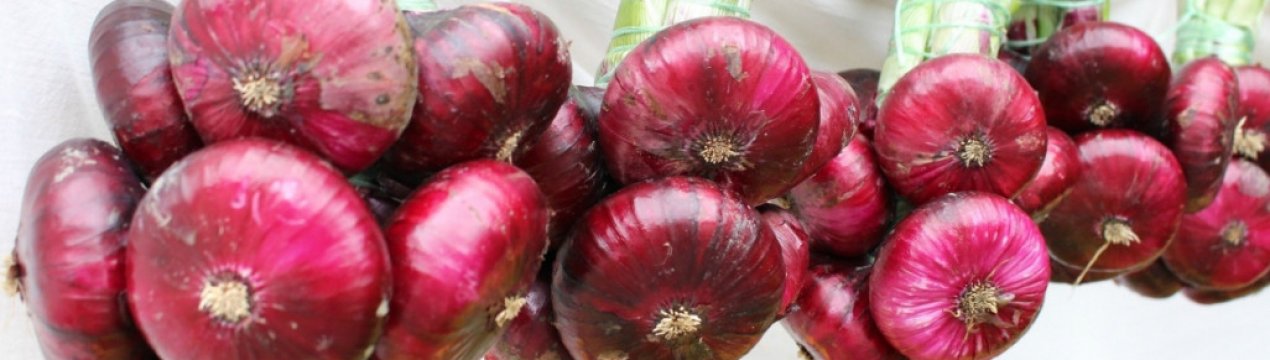 Користь і шкода кримської (ялтинської) лука
