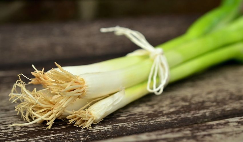 Зберігання цибулі-батун