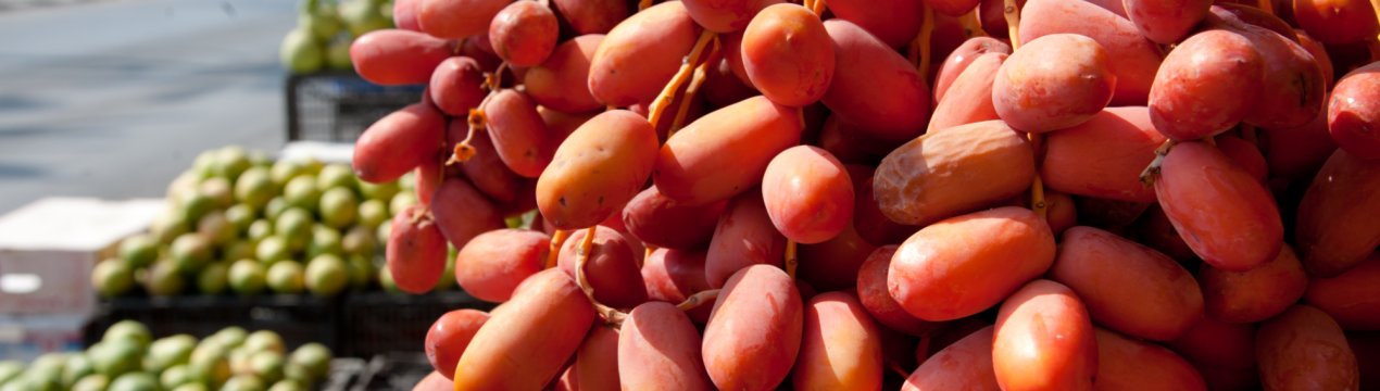 Землі, на які всі махнули рукою, дарують ингушскому фермеру арахіс і фініки