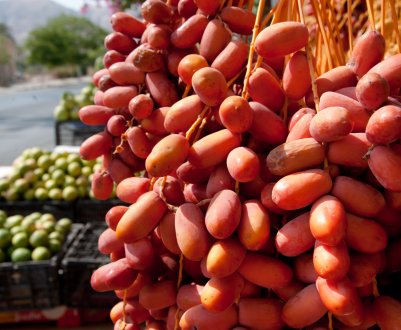 Землі, на які всі махнули рукою, дарують ингушскому фермеру арахіс і фініки