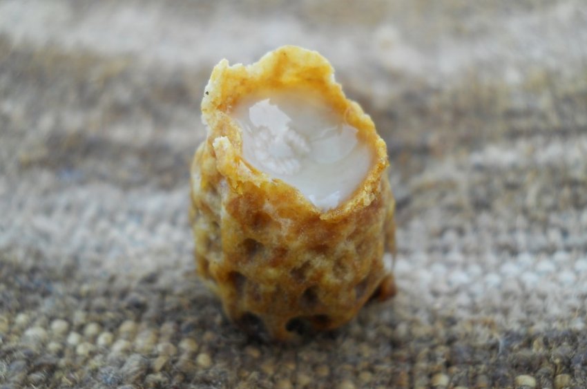 Маточне молочко Маточне молочко