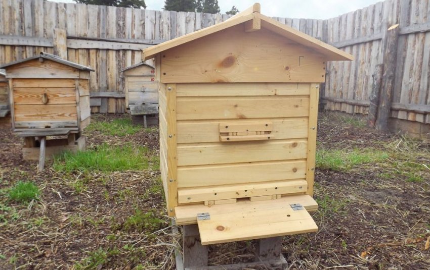 Дадановский вулик Дадановский вулик