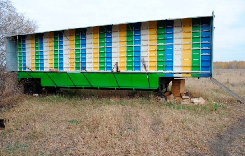 Касетний вулик Касетний вулик