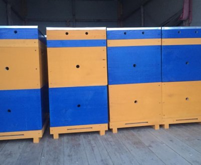 Як зробити своїми руками багатокорпусний вулик для бджіл?