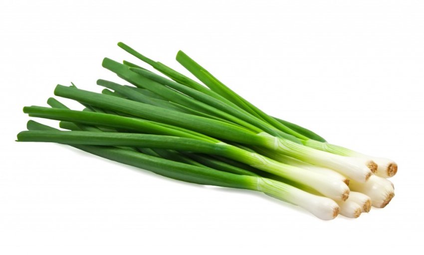 Зелений лук Зелений лук