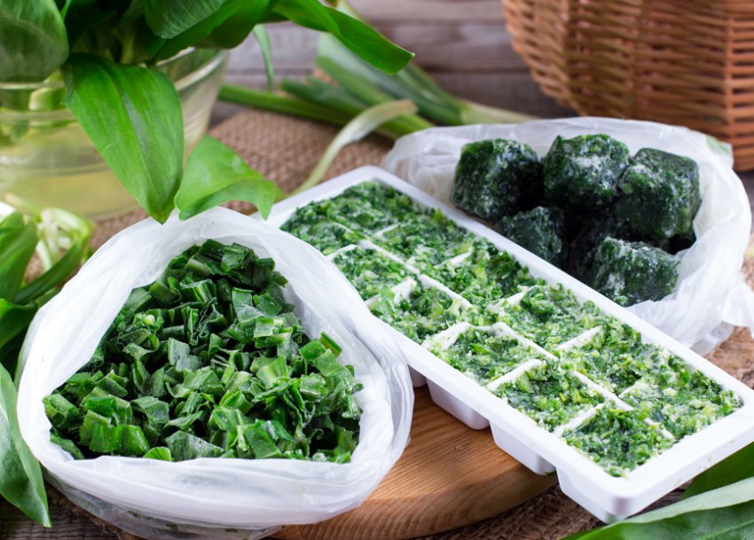 Заморозка зеленого цибулі Заморозка зеленого цибулі