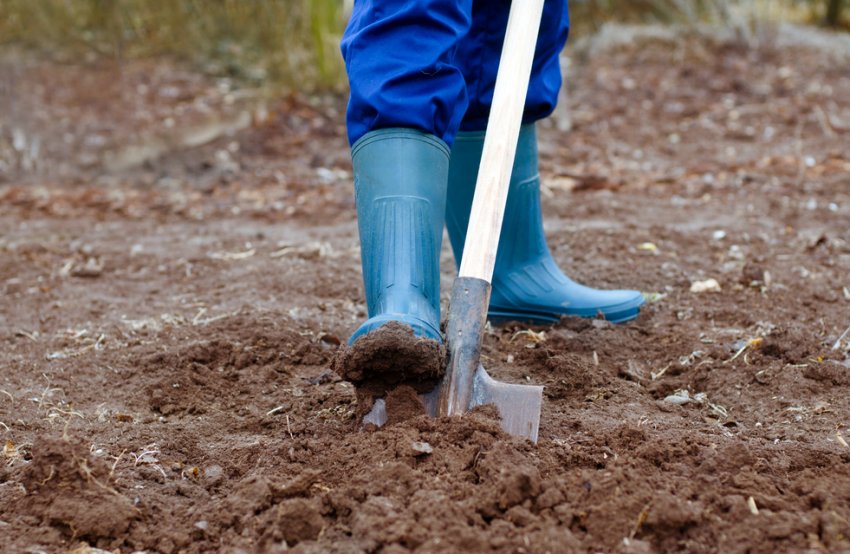 Перекопування грунту