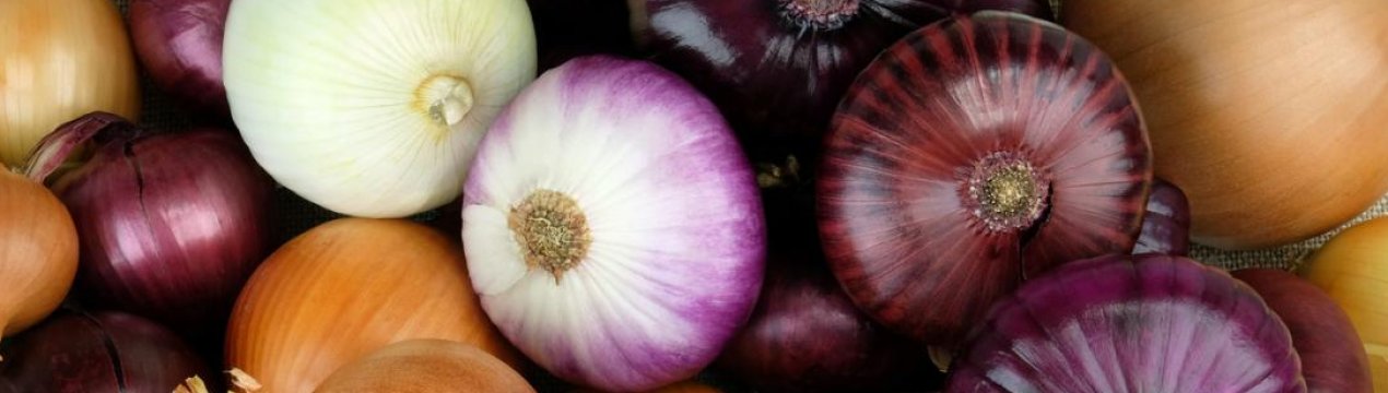 Калорійність ріпчастої цибулі в сирому вигляді на 100 грам продукту