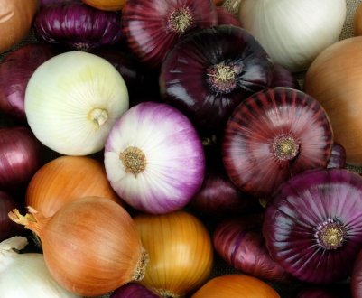 Калорійність ріпчастої цибулі в сирому вигляді на 100 грам продукту