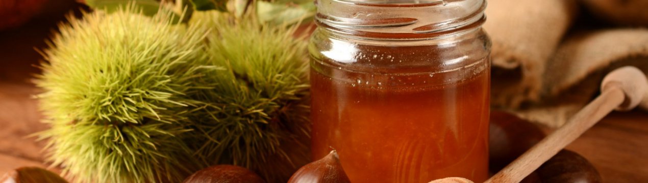 Каштановий мед: користь, шкоду і протипоказання, особливості застосування