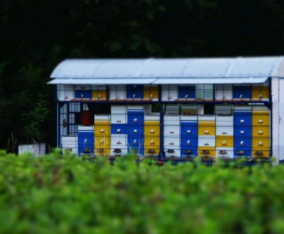 Як зробити своїми руками або вибрати готову пасіку на колесах?