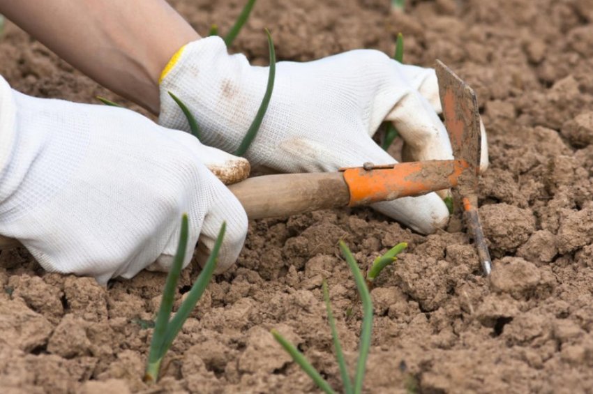 Розпушування грунту Розпушування грунту