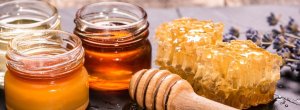Хвойный мед его полезные свойства и противопоказания
