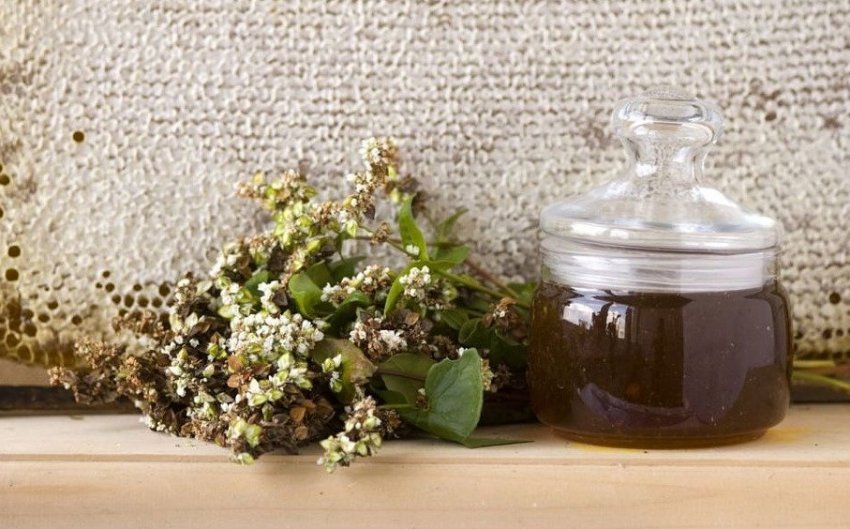 Гречаний мед