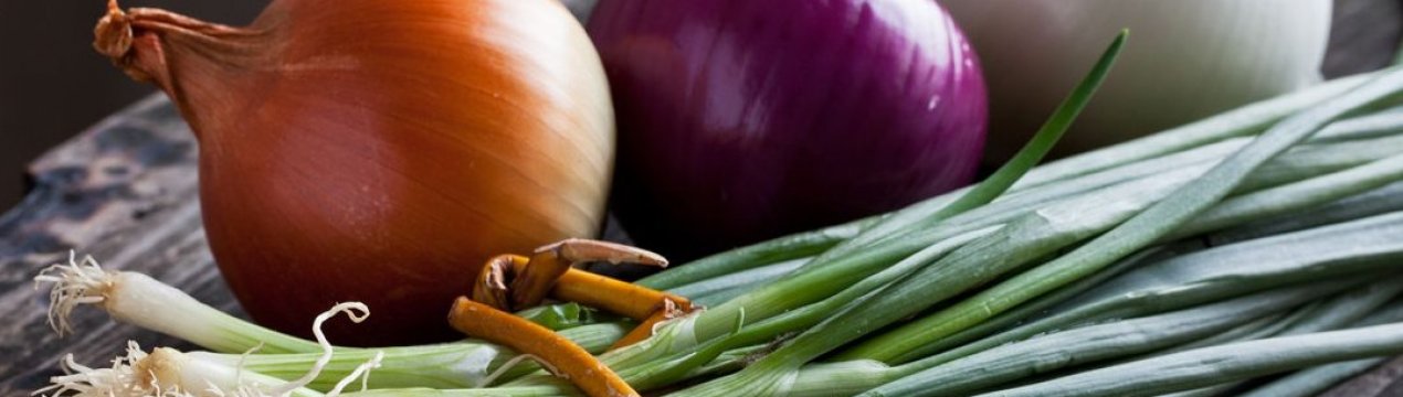 Вітамінний склад цибулі і його корисні властивості