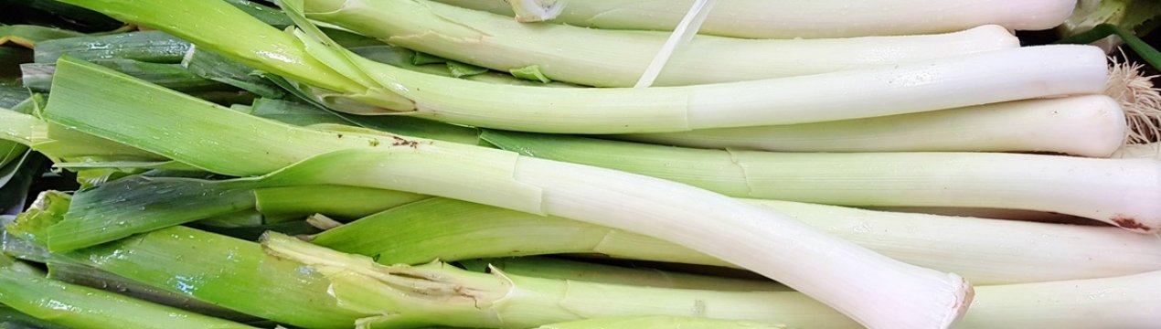 Цілющі властивості і протипоказання цибулі-порею